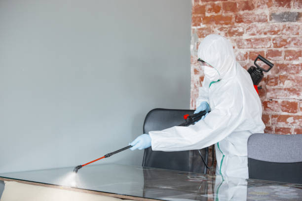 Why You Should Choose Our Mold Remediation Services in Yuba City, CA